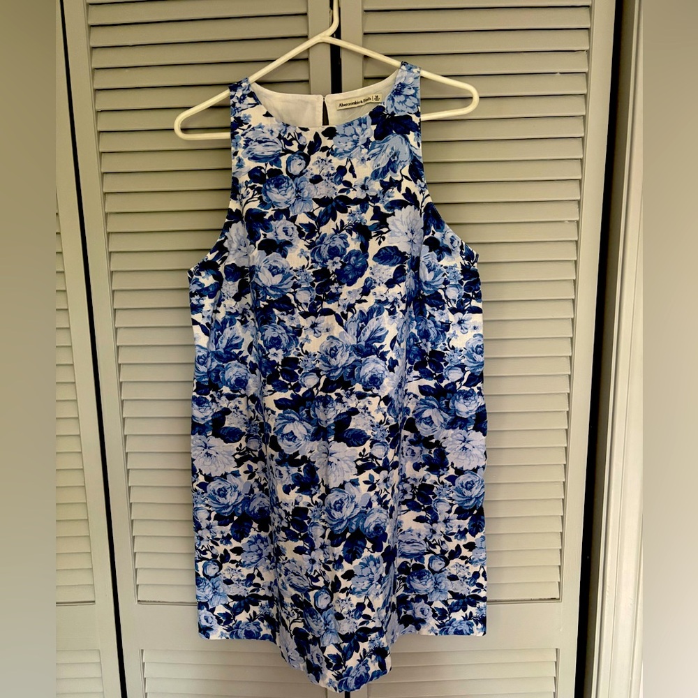 Abercrombie & Fitch Blue and White Floral Dress